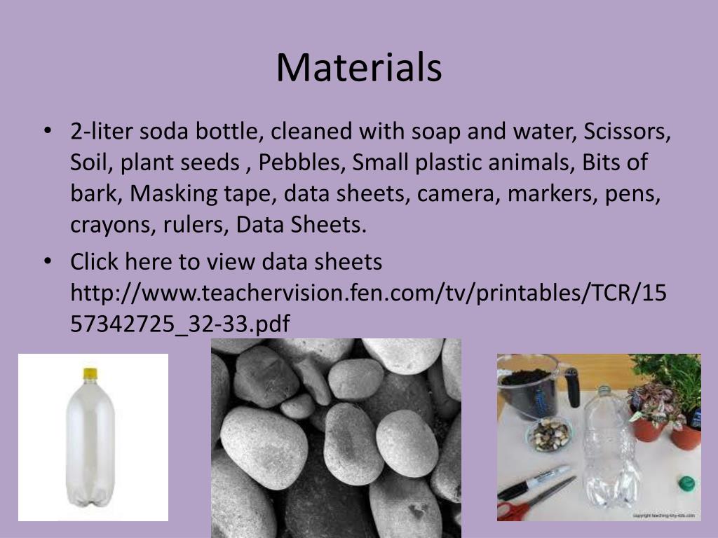 PPT Soda Bottle Terrariums! PowerPoint Presentation, free download