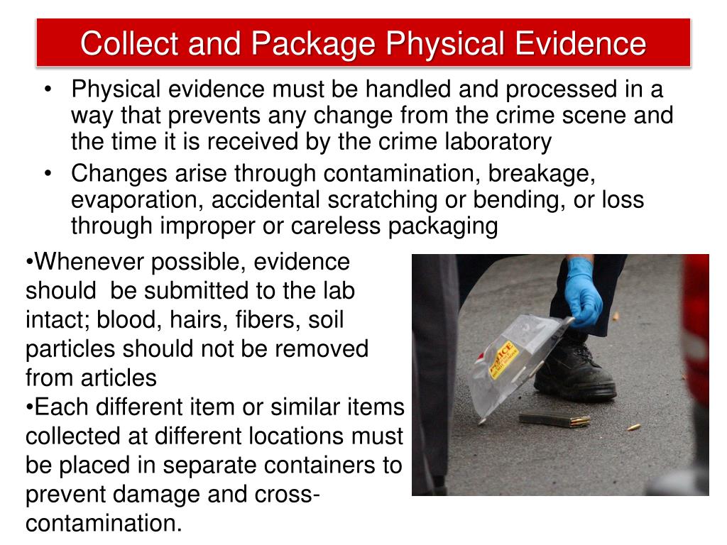 PPT Chapter 2 The Crime Scene PowerPoint Presentation, free download