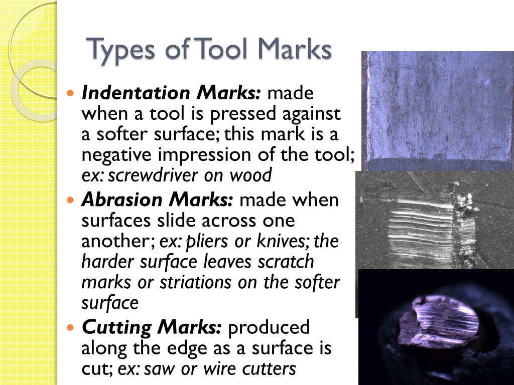 What Is Tool Mark Evidence at Evangelina b blog