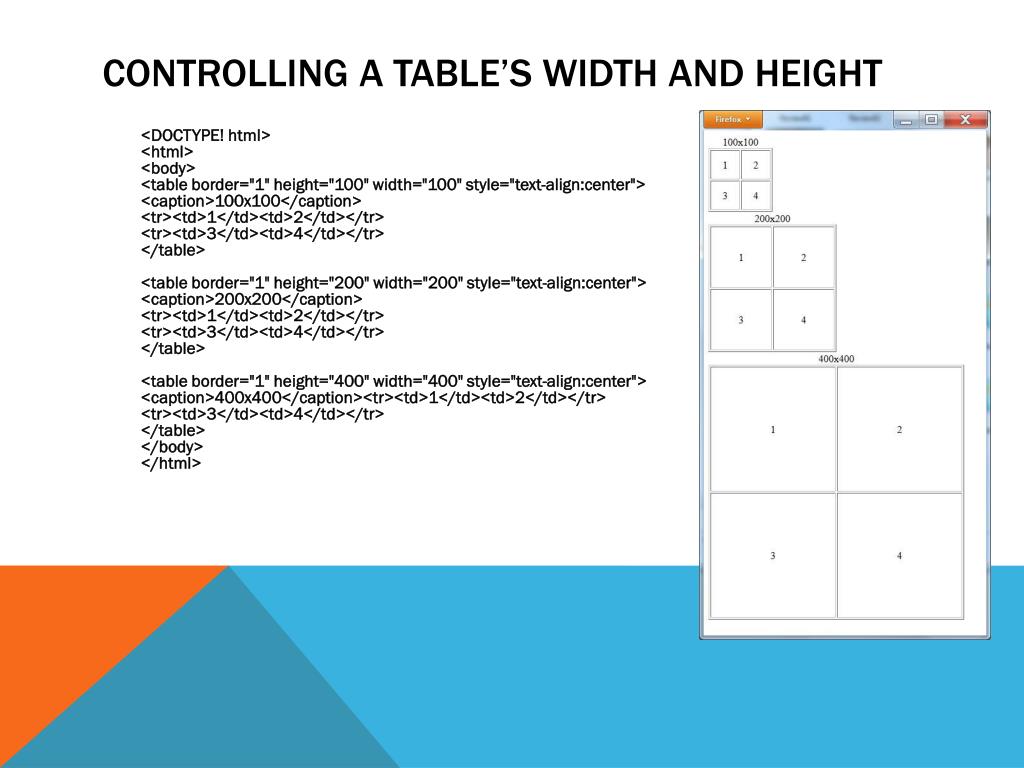Html Table Width 100 Decoration Examples