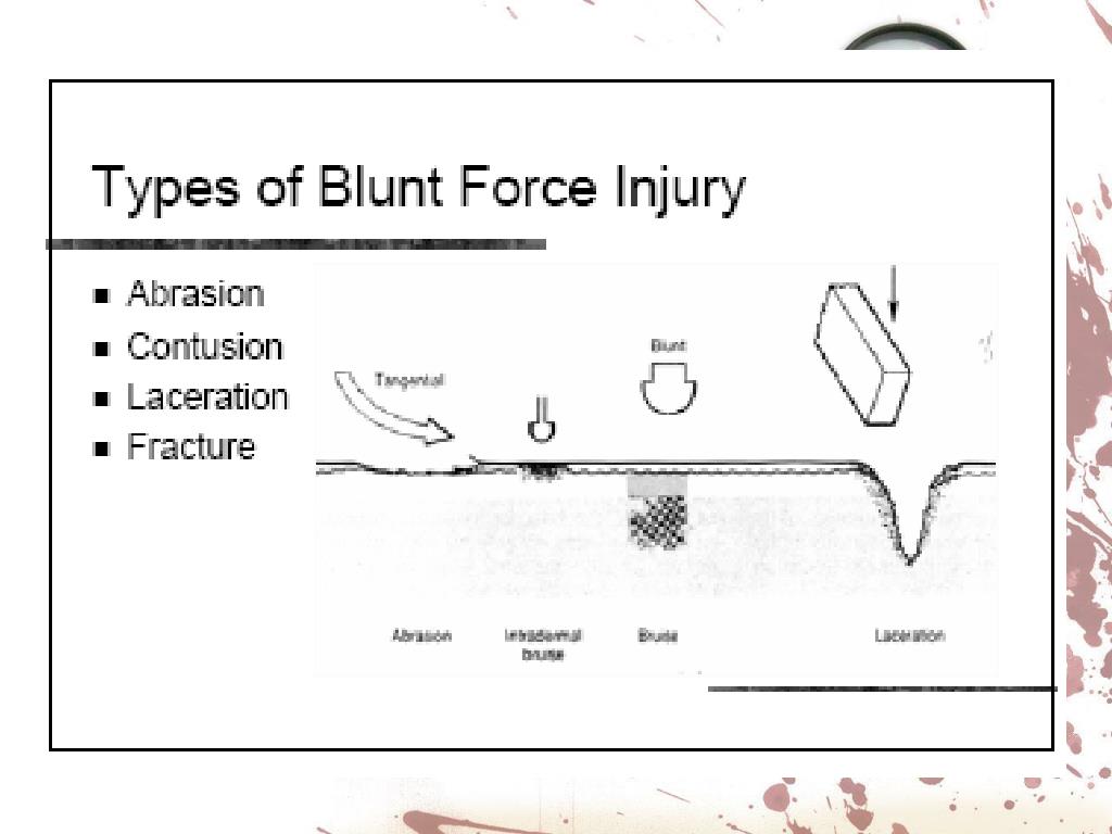 PPT Investigating Animal Injuries PowerPoint Presentation, free