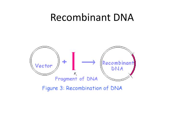 Amazon.com: Recombinant DNA: 9780716722823: Watson, James.