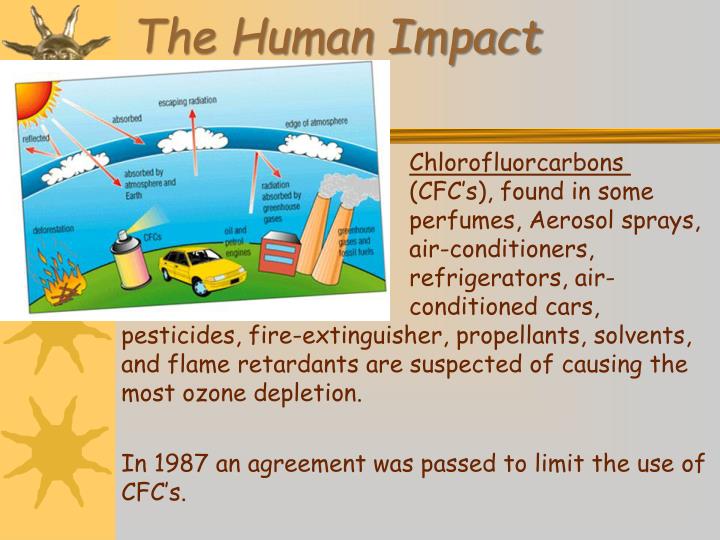 PPT Pollutants of Food Chains & Webs PowerPoint Presentation ID1560050