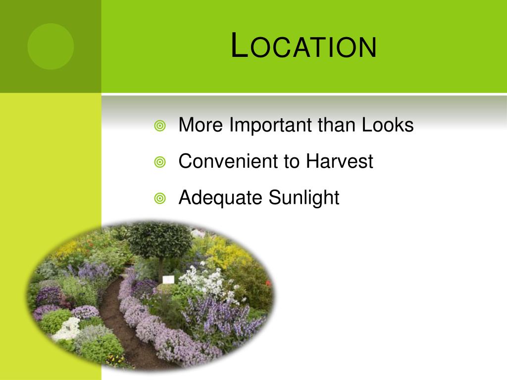 PPT Growing Herbs in North Texas PowerPoint Presentation, free