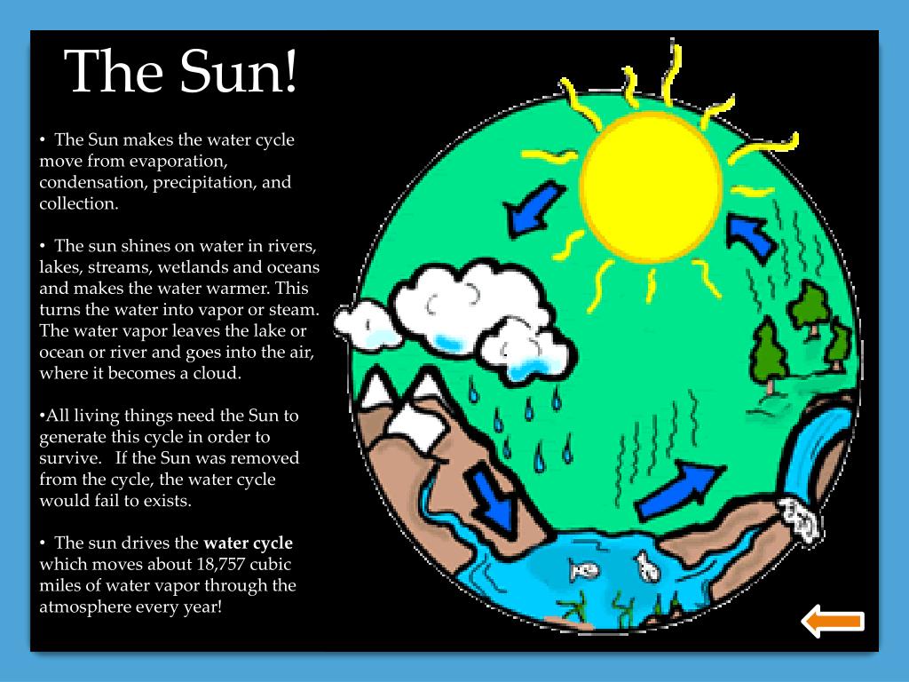 PPT The Water Cycle PowerPoint Presentation, free download ID1562628