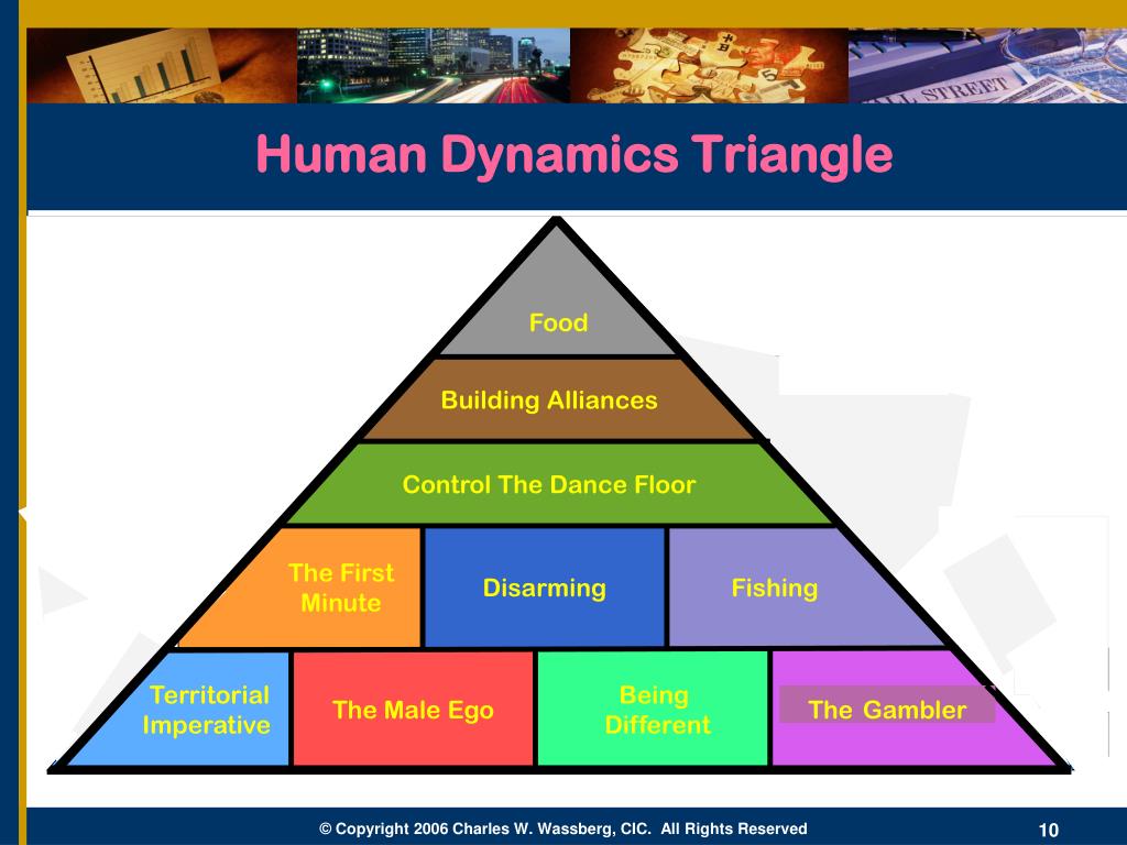 PPT Human Dynamics PowerPoint Presentation, free download ID1563455
