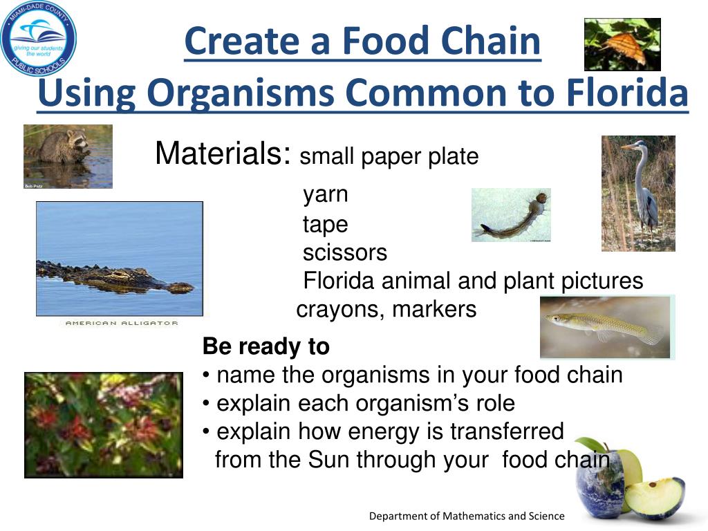 PPT Big Idea 17 Interdependence Needs of Organisms PowerPoint