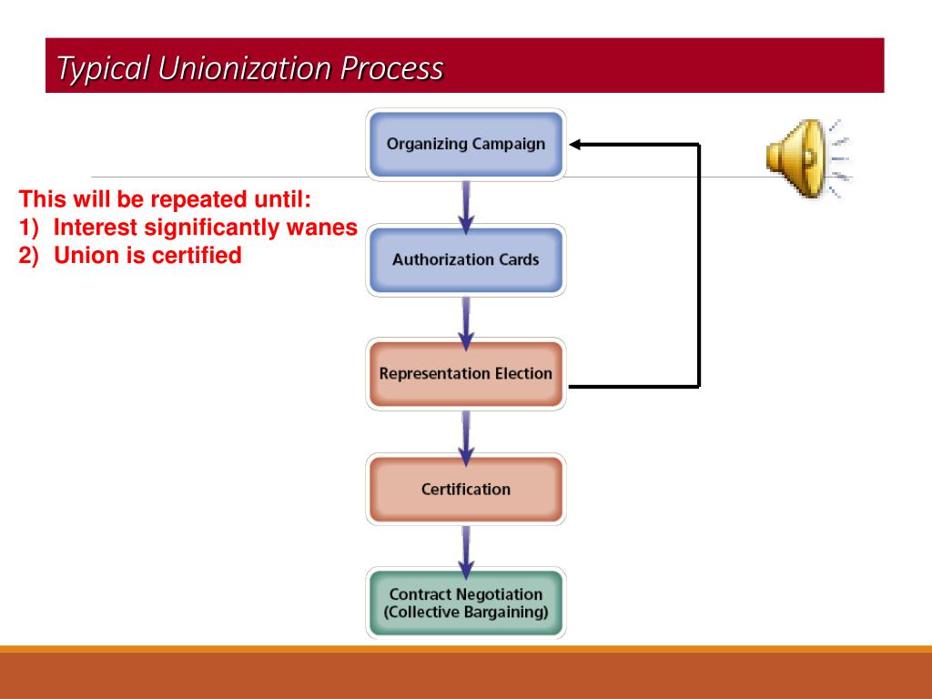 Ontario Union Certification Process at Kimberly Stinson blog