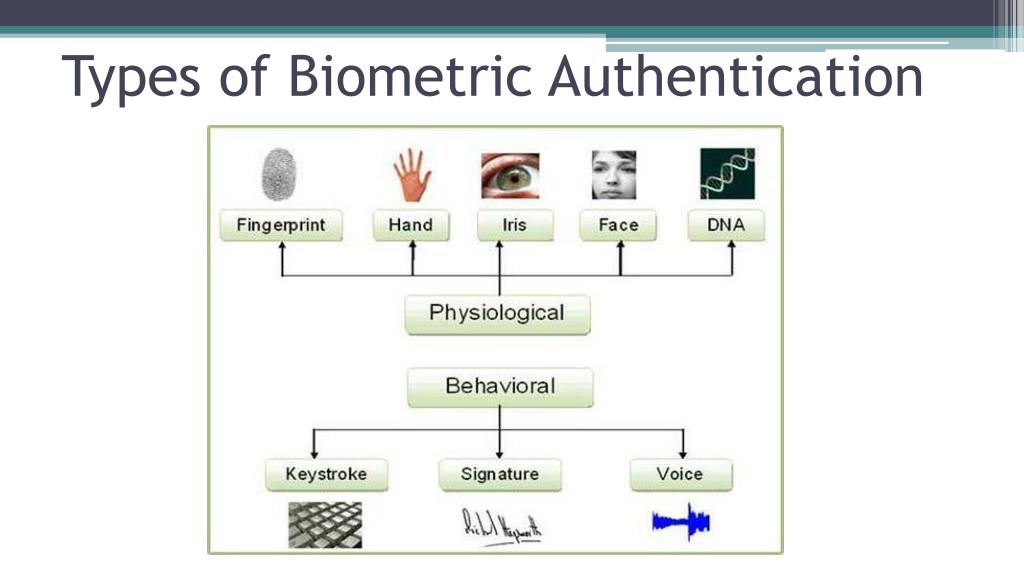 PPT Biometric Authentication PowerPoint Presentation, free download
