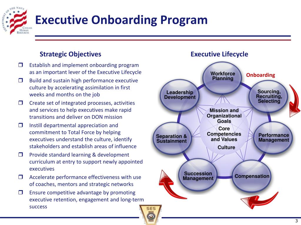 PPT DON Executive Onboarding Overview PowerPoint Presentation, free