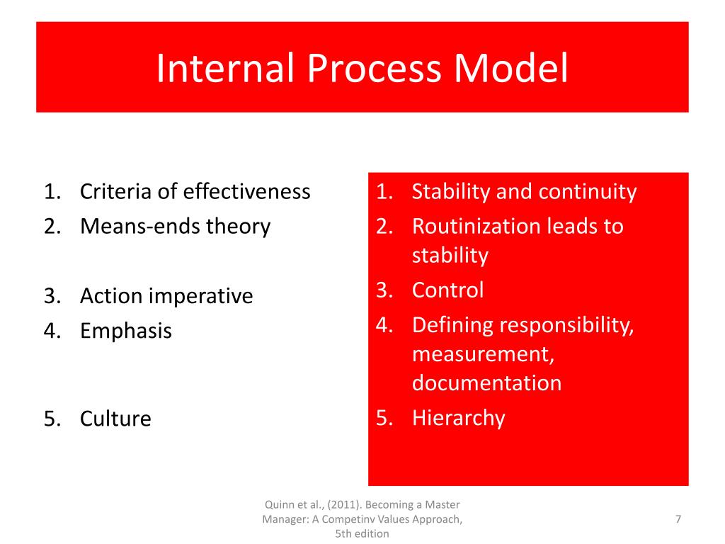 Internal Process Model