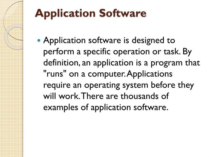 What is Application Software? (With Examples and Types) | Intellipaat What is Application Software? (With Examples and Types) | Intellipaat