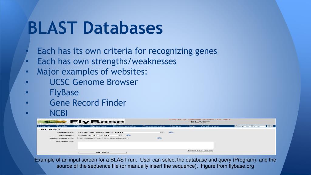PPT BLAST Basic Local Alignment Search Tool PowerPoint Presentation
