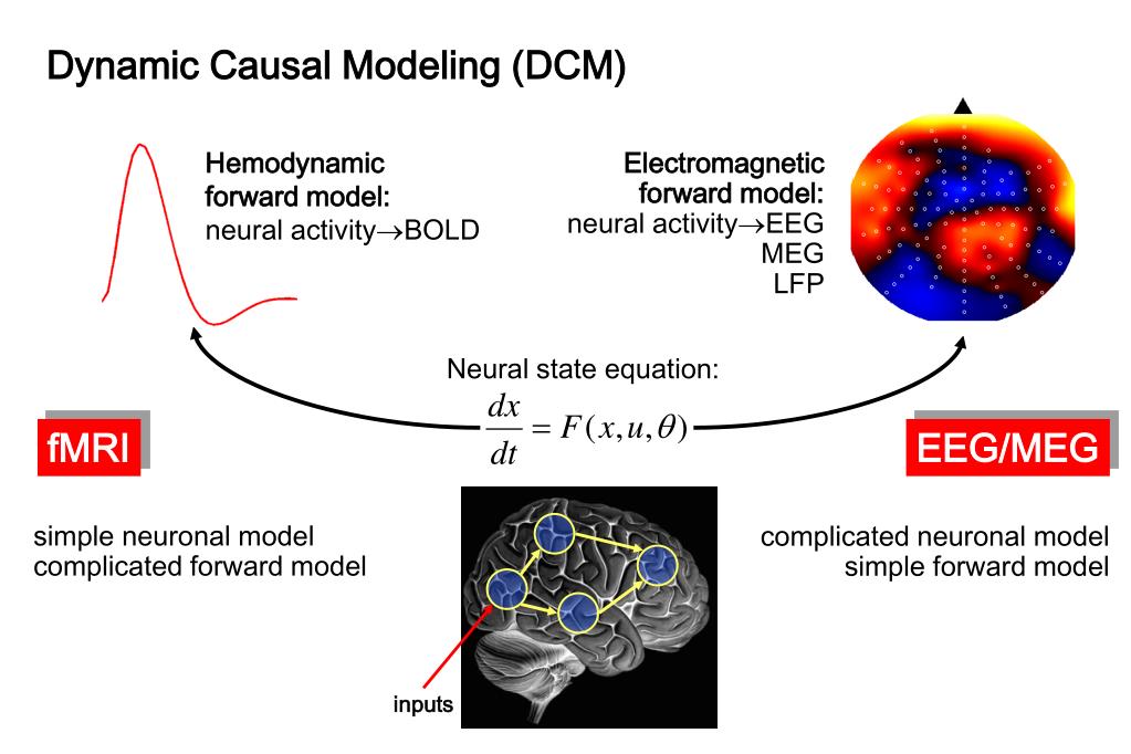 PPT Dynamic Causal Modelling (DCM ) for fMRI PowerPoint Presentation