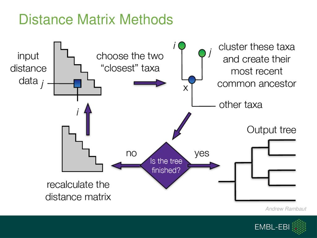PPT An Introduction to Methods PowerPoint Presentation