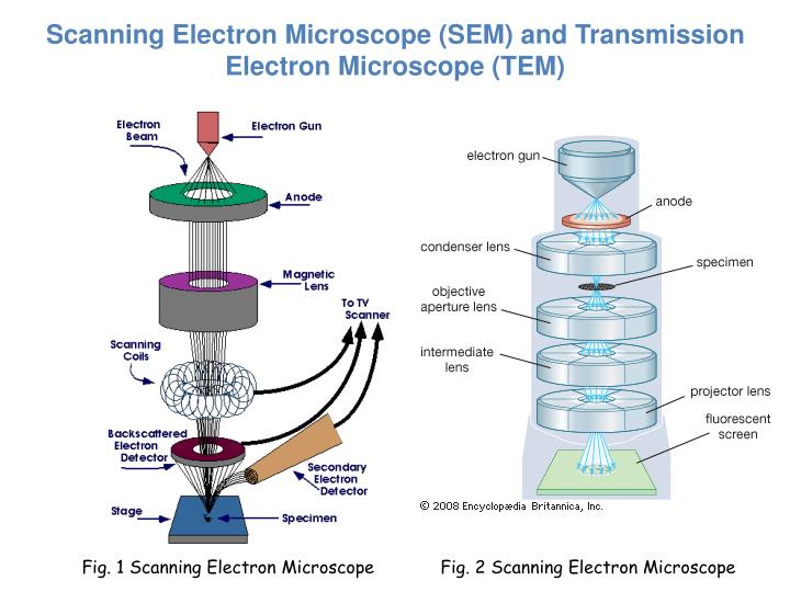 Principles and Techniques of Electr…