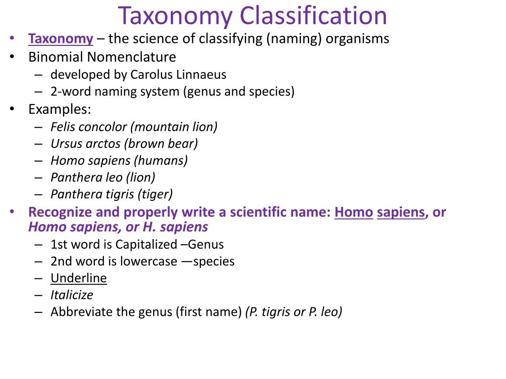 PPT Identification, Variation, & Adaptation PowerPoint Presentation