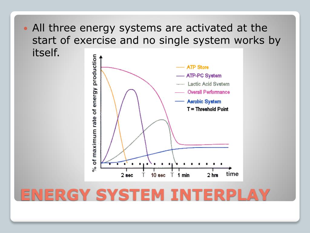 PPT Aerobic and Anaerobic Pathways An Introduction to Energy Systems