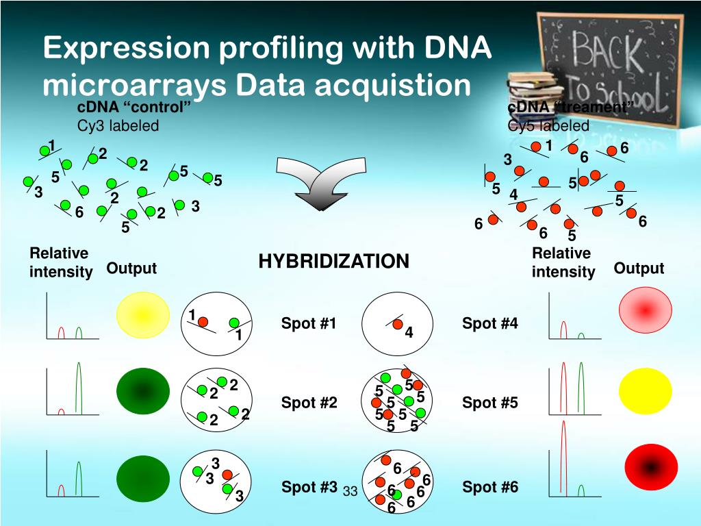 PPT DNA Microarray PowerPoint Presentation, free download ID1588906