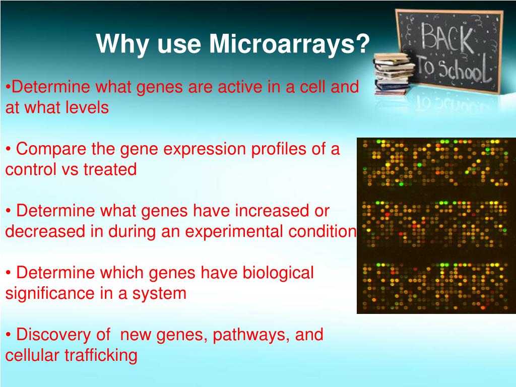 PPT DNA Microarray PowerPoint Presentation, free download ID1588906
