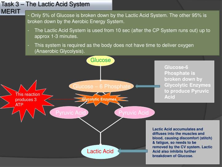 PPT Energy Systems Structure PowerPoint Presentation ID1590137