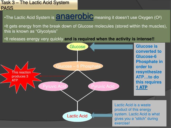 PPT Energy Systems Structure PowerPoint Presentation ID1590137