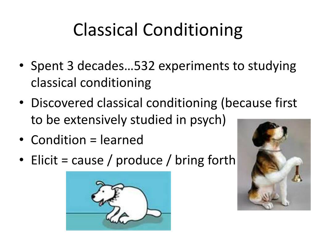 PPT AP Psychology PowerPoint Presentation, free download ID1590888