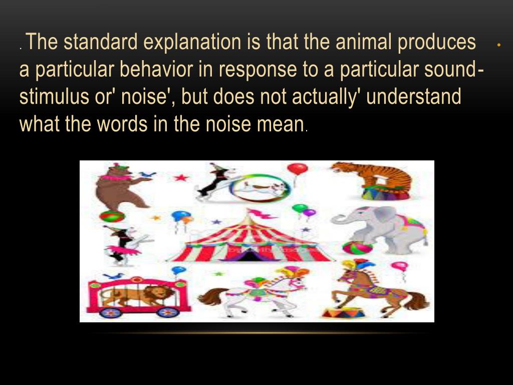 PPT Animals and Human Language PowerPoint Presentation, free download
