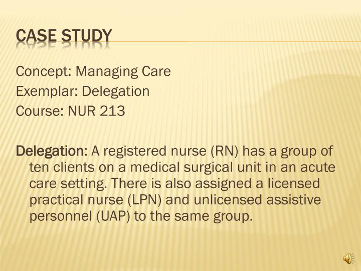 PPT Delegation of Nursing Care PowerPoint Presentation ID1593213