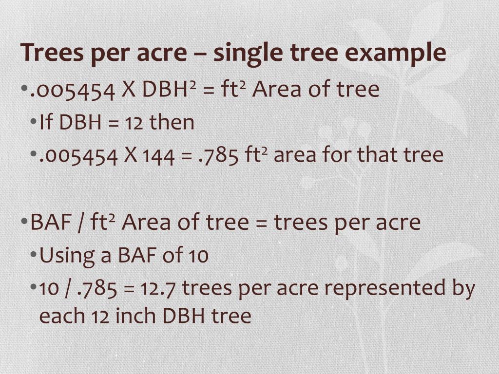 PPT Point Sampling or Variable Plot Cruising PowerPoint Presentation