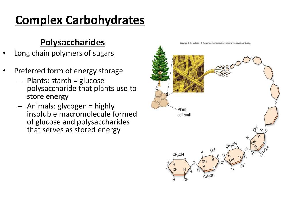 PPT Organic Compounds PowerPoint Presentation, free download ID1598425
