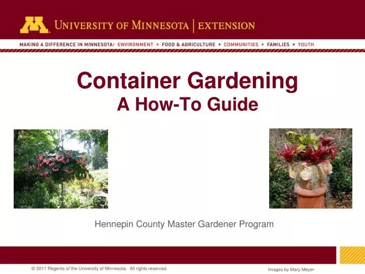 PPT Container Gardening A HowTo Guide PowerPoint Presentation, free