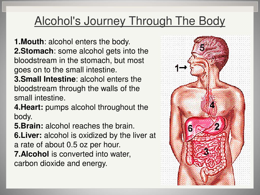 PPT Ch.12 Alcohol PowerPoint Presentation, free download ID1599863