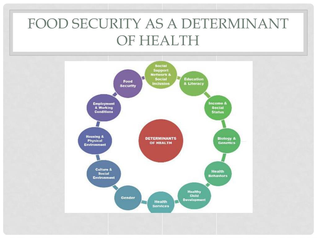 PPT Food Security PowerPoint Presentation, free download ID1600854