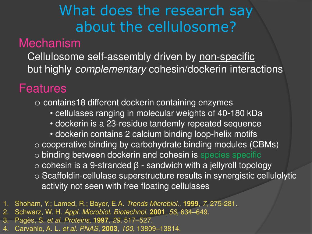PPT The Cellulosome PowerPoint Presentation, free download ID1603888