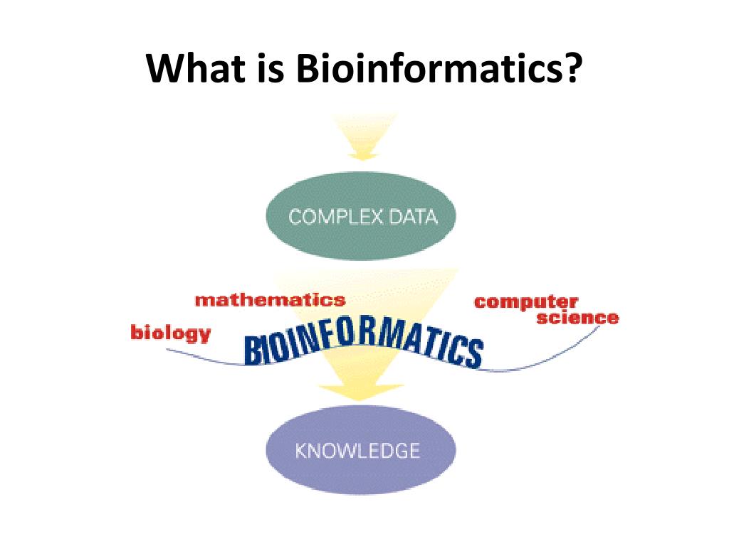 PPT What is Bioinformatics? PowerPoint Presentation, free download
