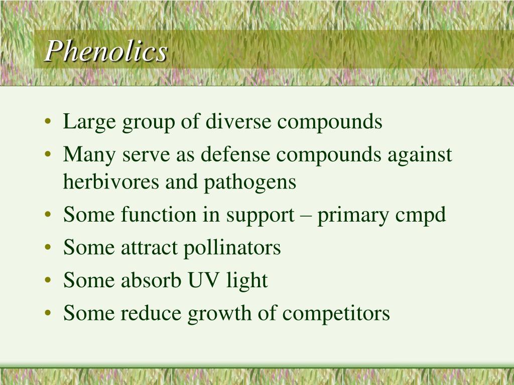 PPT Plant secondary metabolites PowerPoint Presentation, free