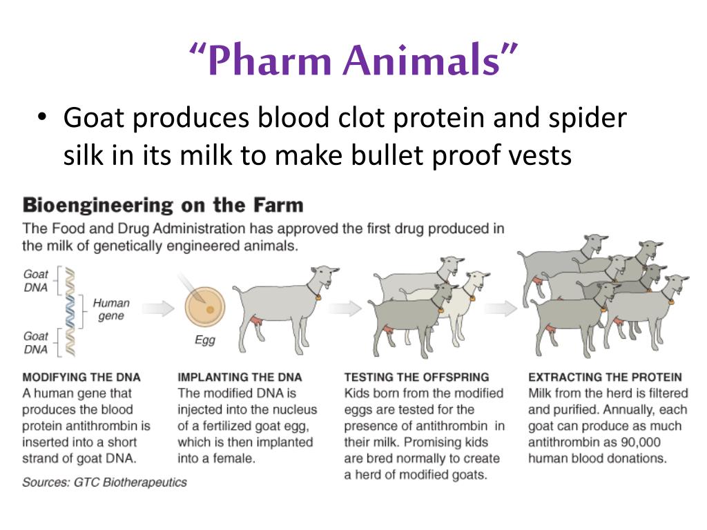 PPT Biotechnology PowerPoint Presentation, free download ID1605621