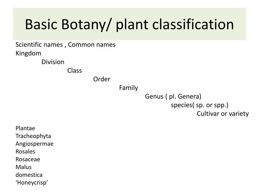 PPT Basic Horticultural Botany PowerPoint Presentation, free download