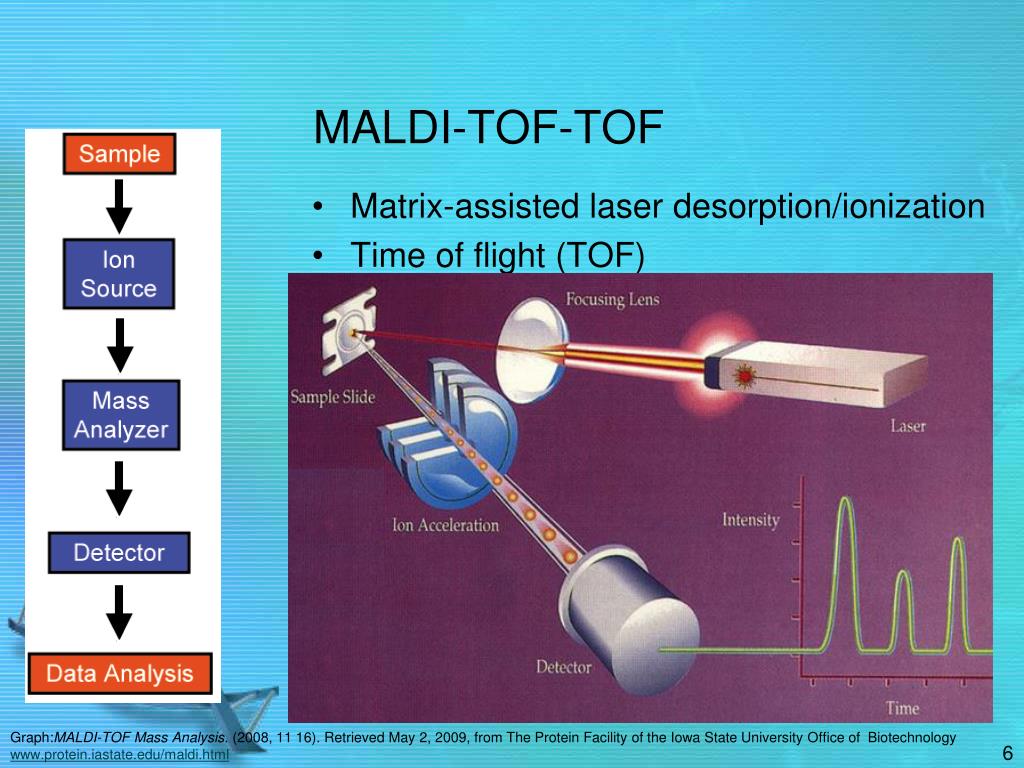 PPT Automatic annotation of Nglycan species in MALDITOFTOF spectra