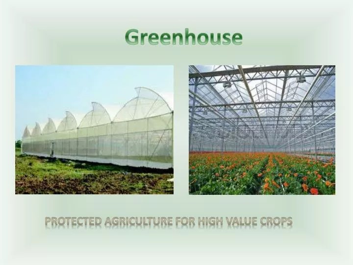 PPT Greenhouse PowerPoint Presentation, free download ID1616731