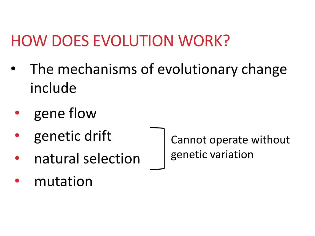 PPT Mechanisms of evolution PowerPoint Presentation, free download