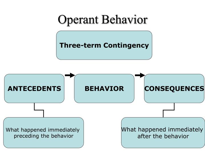 PPT Introduction to Applied Behavior Analysis PowerPoint Presentation