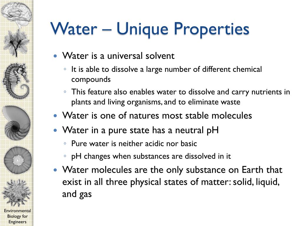 PPT CEE 210 Environmental Biology for Engineers PowerPoint