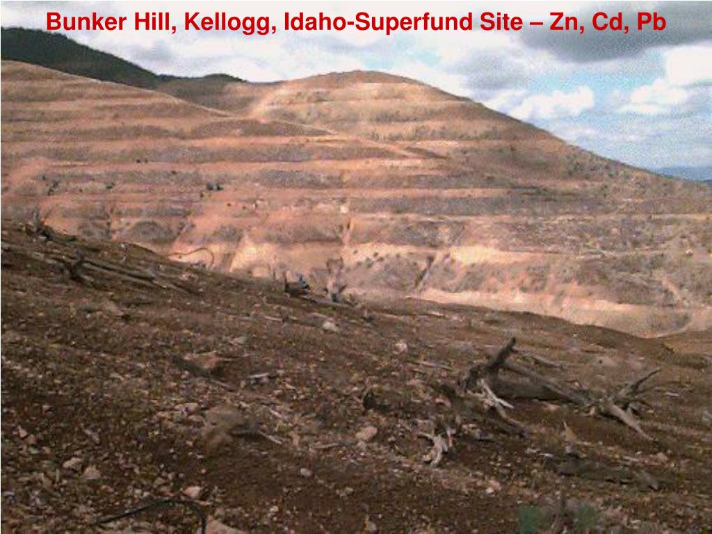 PPT Using Organic Amendments. Byproducts and Agronomy in Remediation of Contaminated Sites