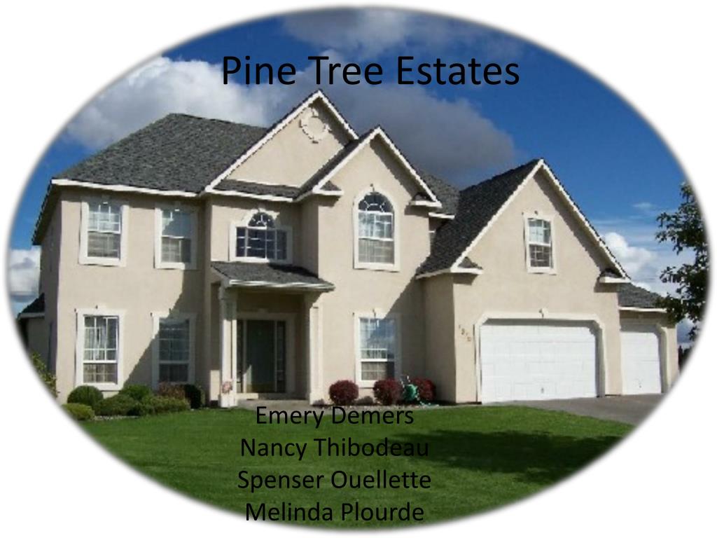 PPT Pine Tree Estates PowerPoint Presentation, free download ID1621785