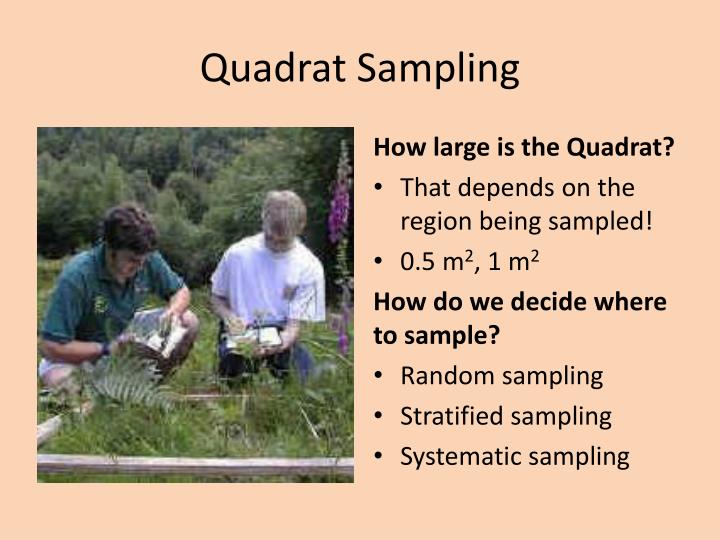 PPT Week 9 IB Biology PowerPoint Presentation ID1621958