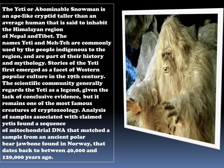 PPT YETI THE ABOMINABLE SNOW MAN PowerPoint Presentation ID1624138