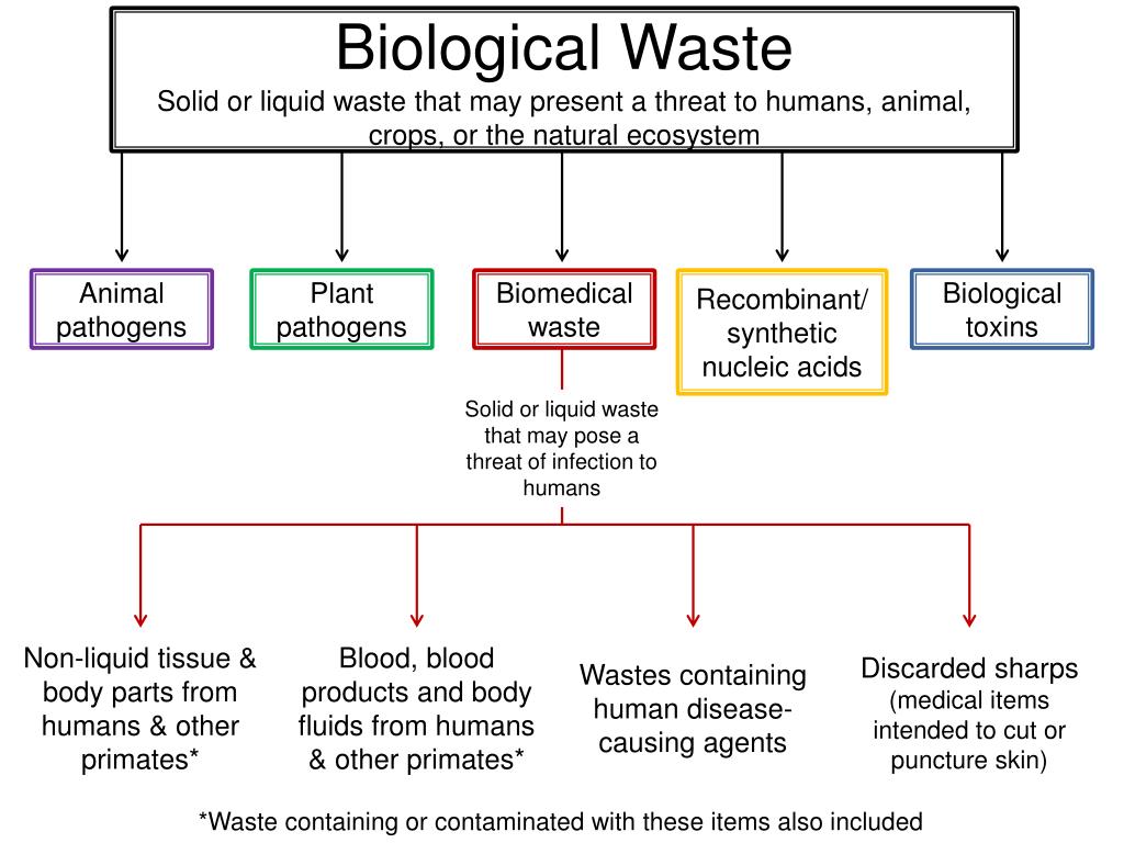 PPT UF Biomedical Waste Training PowerPoint Presentation, free