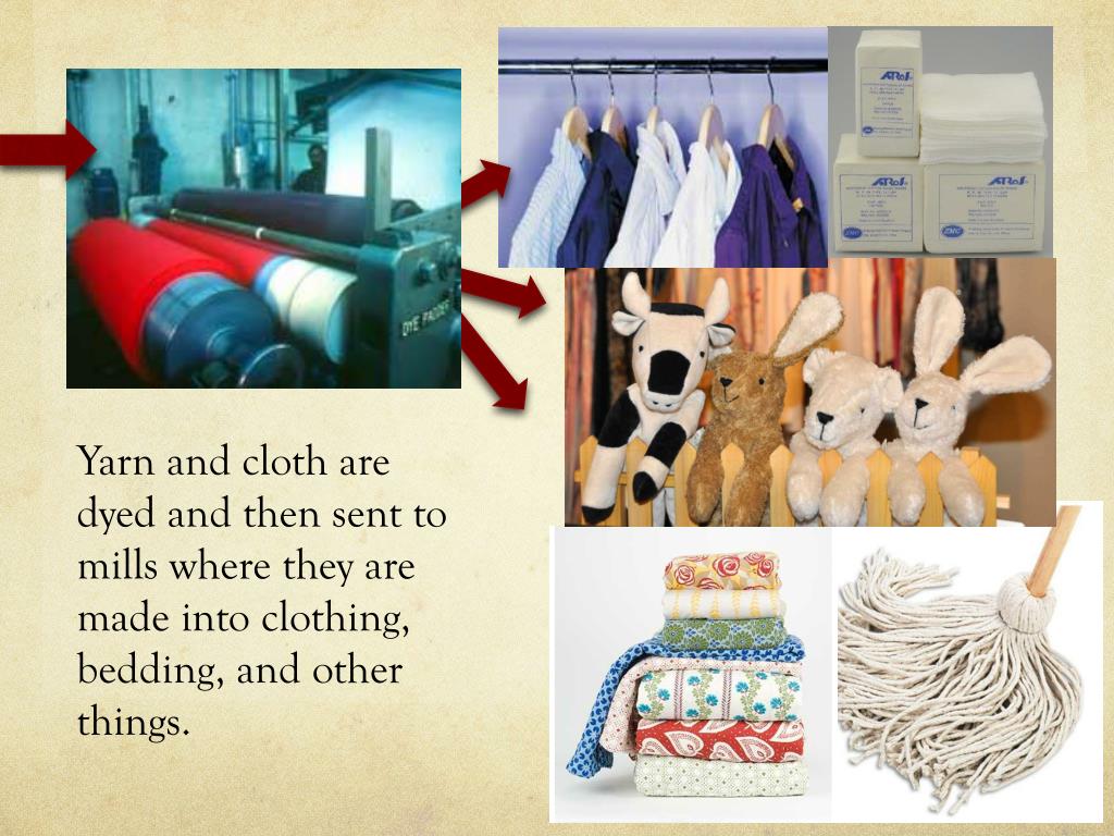 PPT Cotton From Farm to Fabric PowerPoint Presentation, free